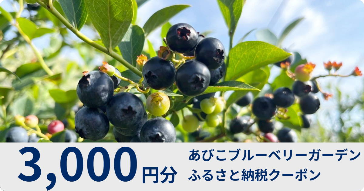 【3,000円分】ブルーベリー狩り体験で使えるクーポン