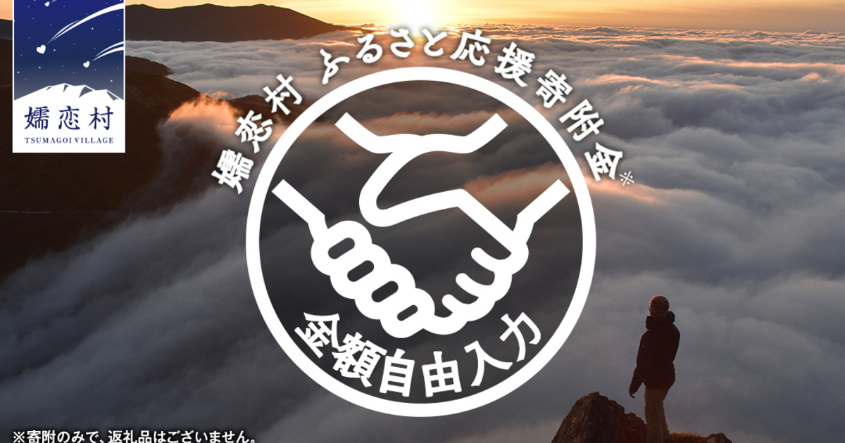 ふるさと応援寄附金 【金額自由入力】寄附のみの応援  返礼品なし 