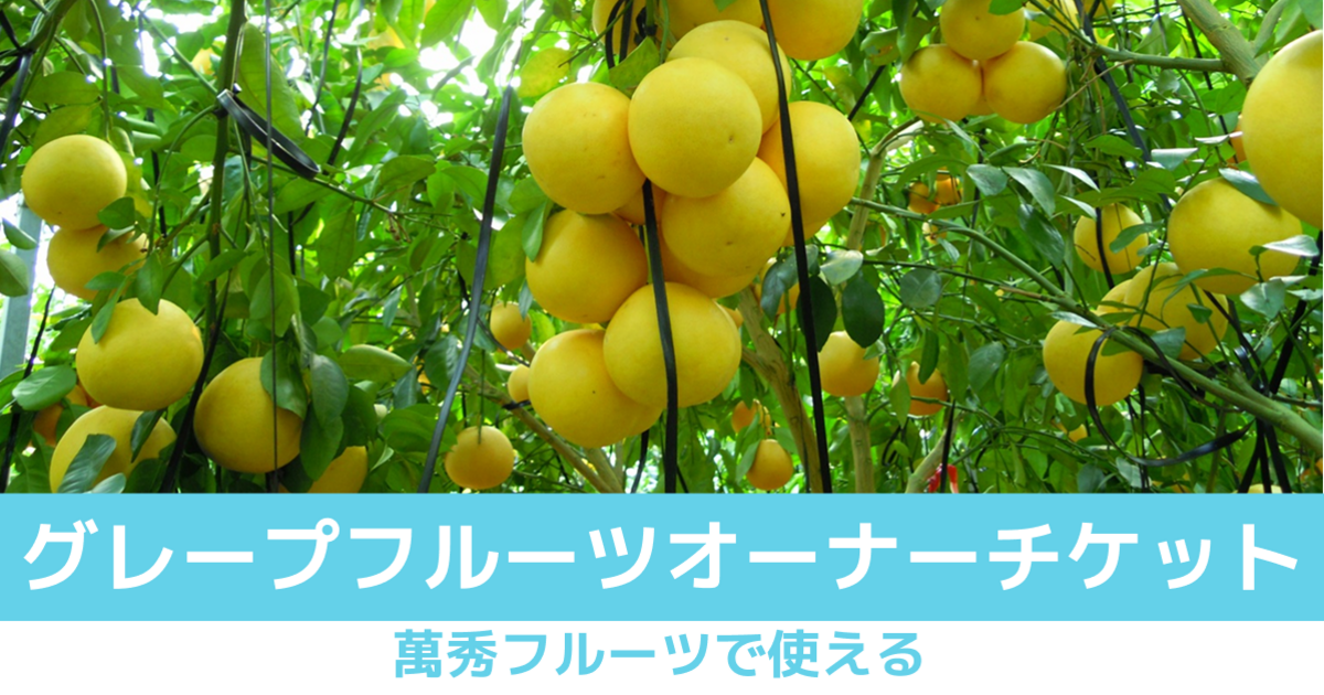 【グレープフルーツオーナーチケット】萬秀フルーツで使える