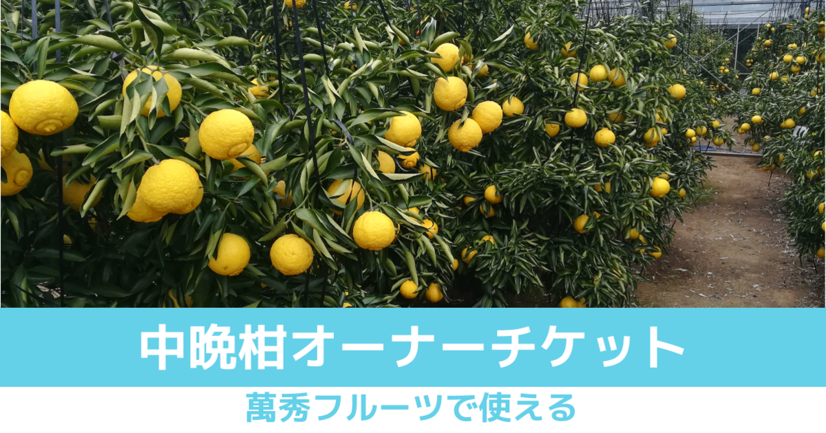 【中晩柑オーナーチケット】萬秀フルーツで使える