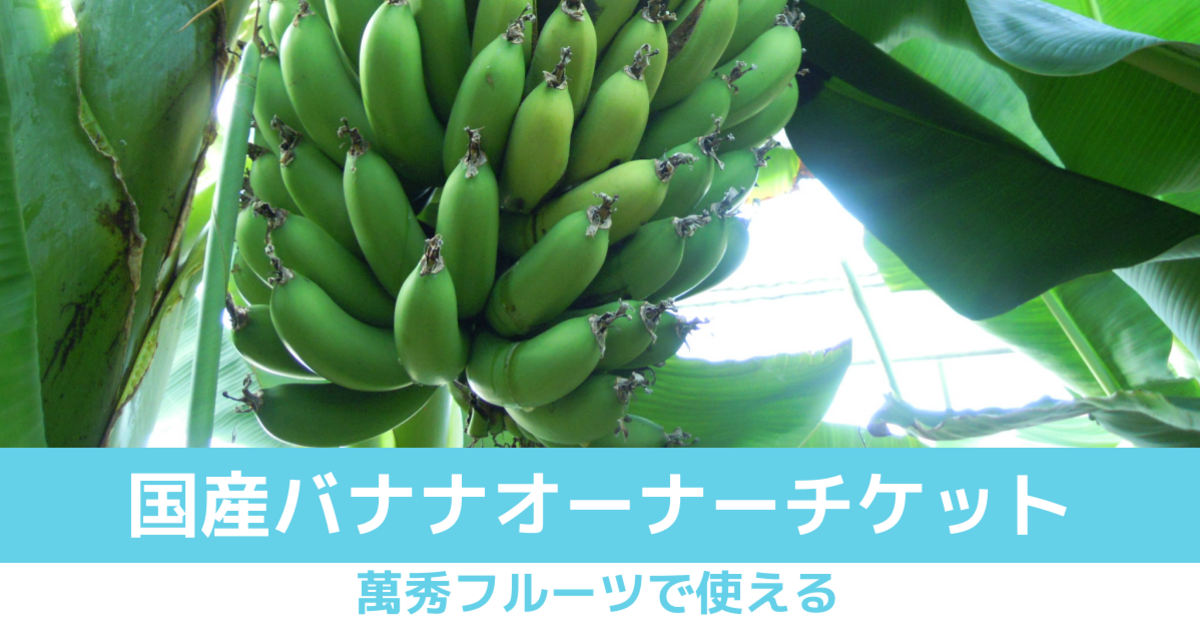 【国産バナナオーナーチケット】萬秀フルーツで使える