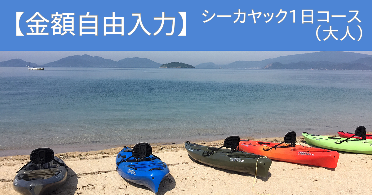 （シーカヤック1日コース：大人）【金額自由入力】大崎上島シーカヤック&サップで使えるクーポン