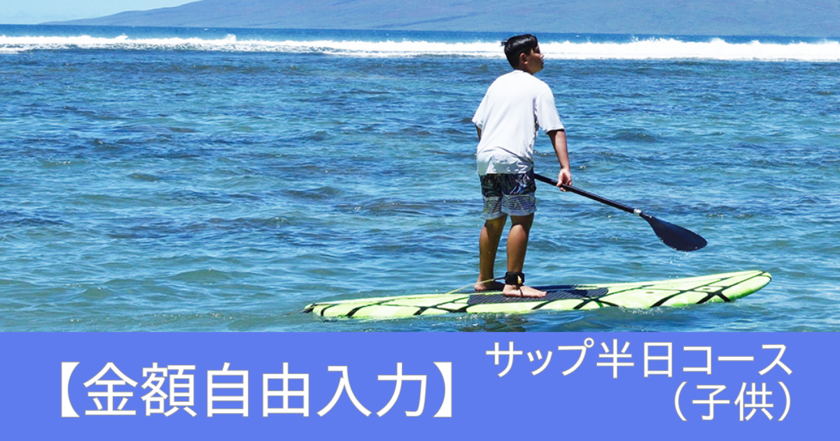 （サップ半日コース：子供）【金額自由入力】大崎上島シーカヤック&サップで使えるクーポン