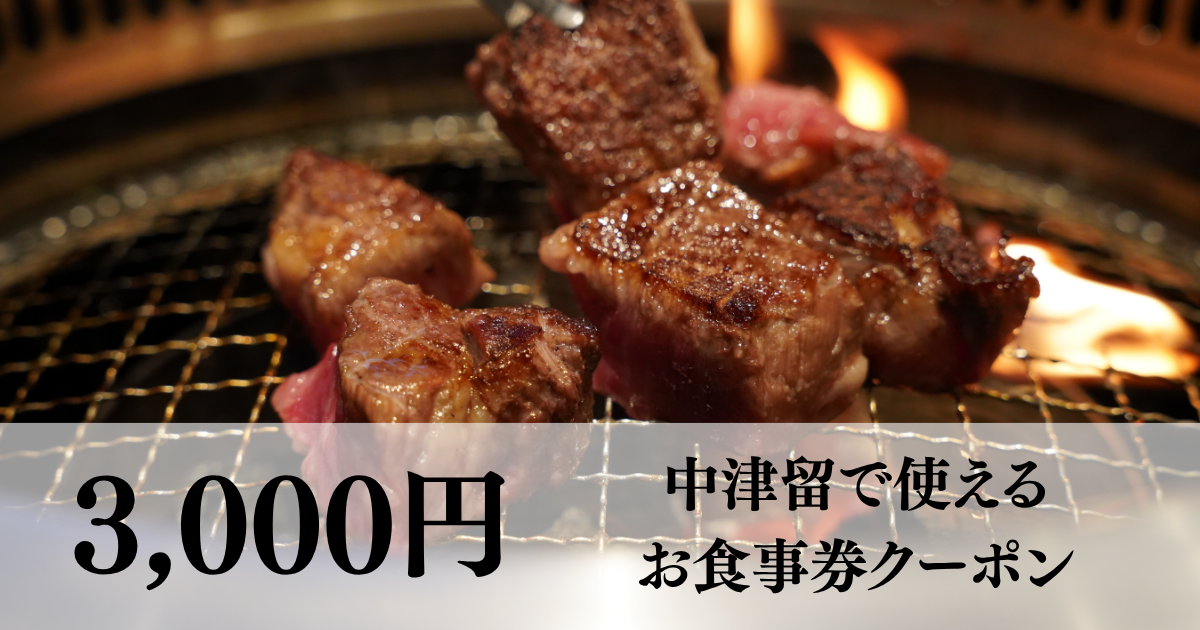 【3千円分】中津留でつかえるお食事券																			