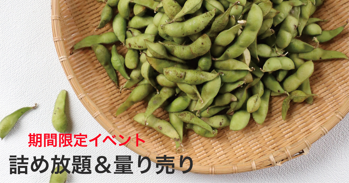 【金額自由入力】京丹波町産 獲れたて旬の黒枝豆 量り売り体験(重量に応じた寄附)の画像1