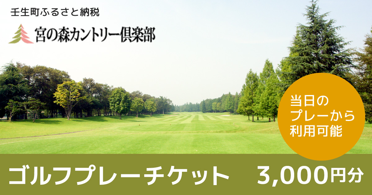ゴルフプレー券【3,000円分】の画像1