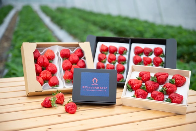 楽農ファームたけした